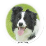 Border Collie 9A14D-25 Sticker