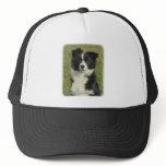 Border Collie 9B62D-18 Mesh Hats