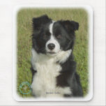 Border Collie 9B62D-18 Mouse Mat