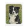 Border Collie 9B62D-18 Post Cards