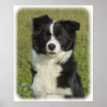 Border Collie 9B62D-18 Poster
