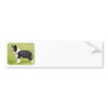 Border Collie 9R071D-059 Bumper Sticker