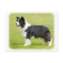 Border Collie 9R071D-059 Postcard