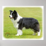 Border Collie 9R071D-059 Print