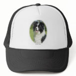 Border Collie 9T085D-101 Hat