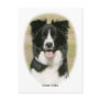 Border Collie 9Y411D-009 Post Card