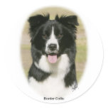 Border Collie 9Y411D-009 Round Sticker