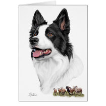 Border Collie and sheep Greeting Cards