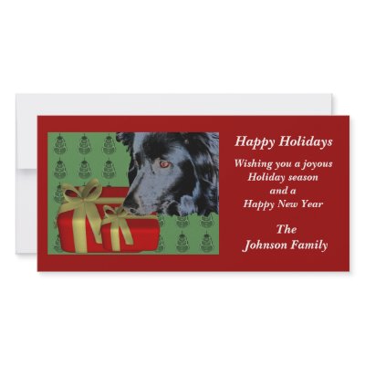 Border Collie Animal Christmas Holiday Card by SmilinEyesTreasures