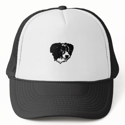 Border collie art: black/white, blue eyes by eyecontact