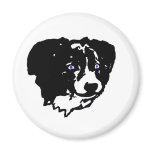 Border collie art: black/white, blue eyes