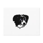 Border collie art: black/white, blue eyes