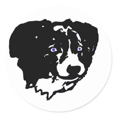 Border collie art: black/white, blue eyes by eyecontact