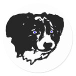 Border collie art: black/white, blue eyes stickers