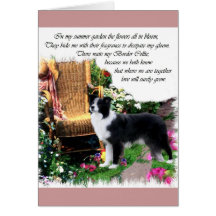 Border Collie Art Gifts Card