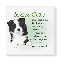 Border Collie Art Gifts Magnet