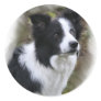 Border Collie Art Gifts Stickers