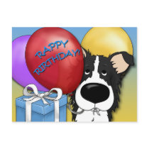 Border Collie Birthday Postcard