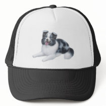Border Collie Blue Merle Hat