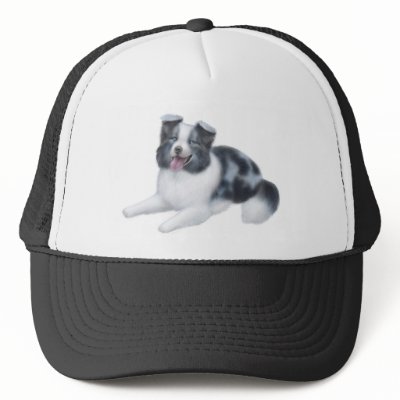 Border Collie Blue Merle Hat by twopurringcats