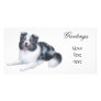 Border Collie Blue Merle Photo Card