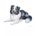 Border Collie Blue Merle T-Shirt