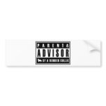 Border Collie bumper stickers