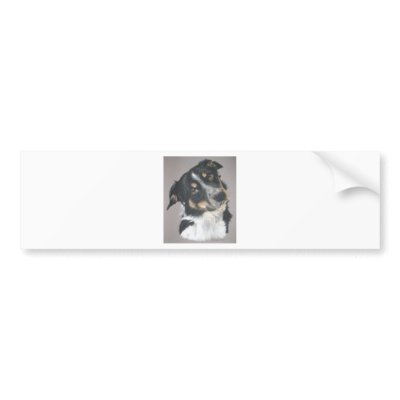 Border Collie Bumper Sticker by jopetportraits
