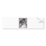 Border Collie bumper stickers