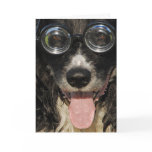 Border Collie Card