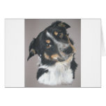 Border Collie Cards