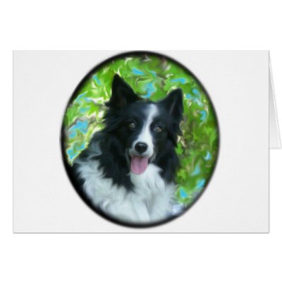 Border Collie Cards by Francesca15