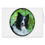 Border Collie cards
