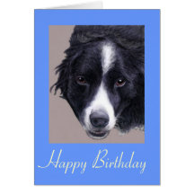 border collie dog birthday card