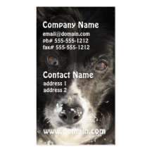 Border Collie Dog Business Cards