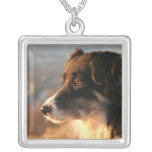 Border Collie Dog Necklace
