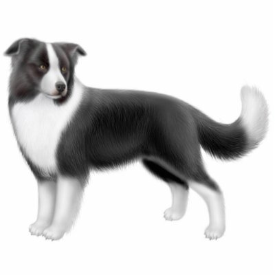 Border Collie Dog Ornament by twopurringcats