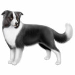 Border Collie Dog Ornament photo sculptures