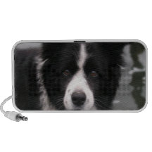 Border Collie Dog Speakers