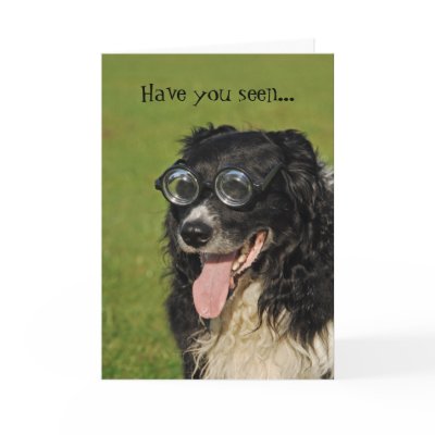 Border Collie Flocking Funny Card by BlackTiePictures