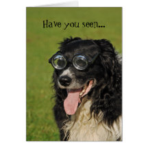 Border Collie Flocking Sheep Card