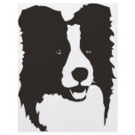 Border Collie Flyers