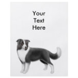 Border Collie Flyer