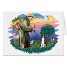Border Collie Greeting Cards