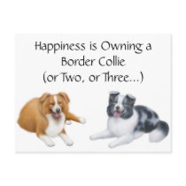 Border Collie Happiness Postcard