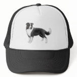 Border Collie Hat