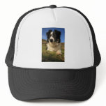 Border Collie Trucker Hat
