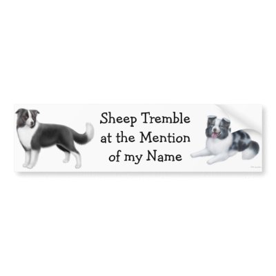 Border Collie Herding Bumper Sticker by twopurringcats