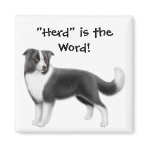 Border Collie Herding Dog Magnet
