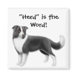 Border Collie Herding Dog Magnet